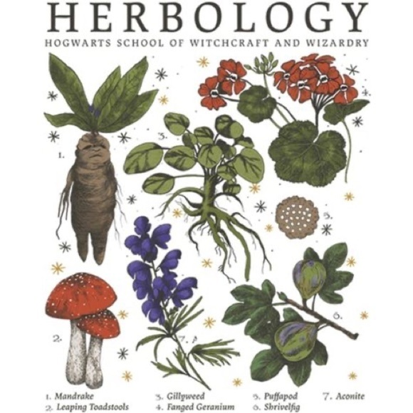 Harry Potter Hogwarts Herbology Short Sleeve Tee Shirt Size 3XL - Picture 2 of 6